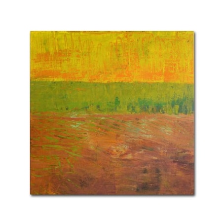 Trademark Fine Art Michelle Calkins 'Highway Series Soil' Canvas Art, 24x24 MC0191-C2424GG